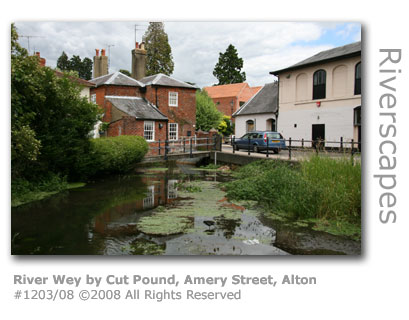 River Wey in Alton, Hampshire