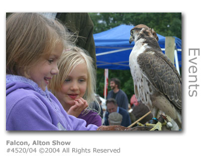 Falcon at Alton Agricultural Show