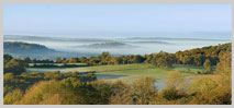 Newlands Corner