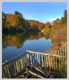 Winkworth Arboretum