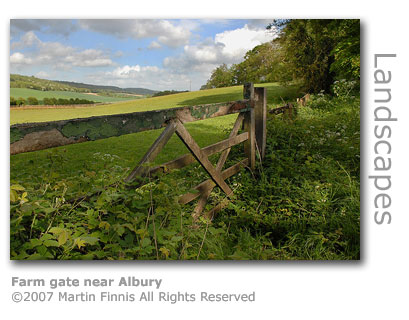 Farm gate near Albury by Martin Finnis