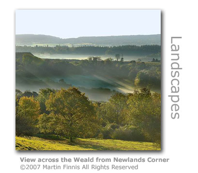 Newlands Corner by Martin Finnis