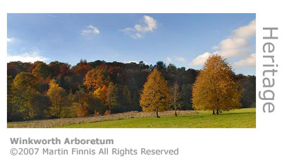 Winkworth arboretum by Martin Finnis