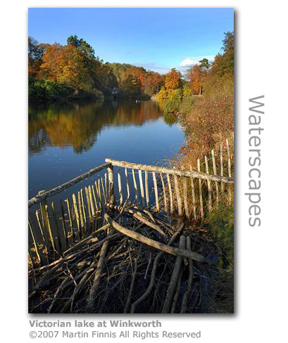 Winkworth Arboretum Lake by Martin Finnis
