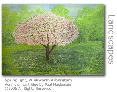 Springlight at Winkworth by Paul Mackenzie