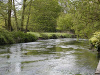 River Blackwater near Eversley