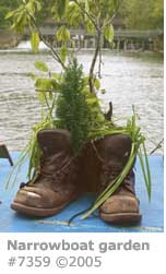 NARROWBOAT BOOT GARDEN