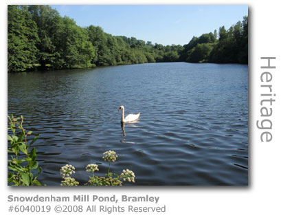 Snowdenham Mill Pond, Bramley