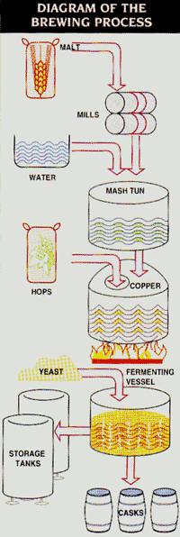 The Brewing Process