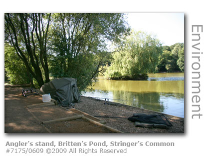 Angler's stand at Britten's Pond, Stringer's Common, Guildford, Surrey