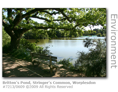Britten's Pond, Stringer's Common, Worplesdon, Guildford, Surrey