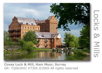 COXES MILL HAM MOOR