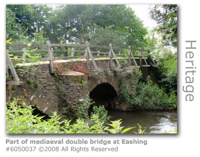 Eashing mediaeval bridge
