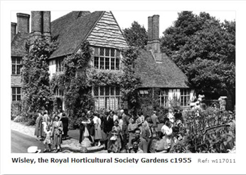 Wisley Gardens 1955