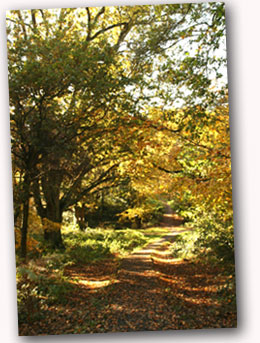 Farnham Park