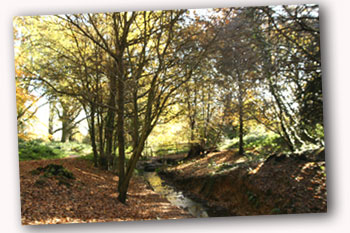 Farnham Park