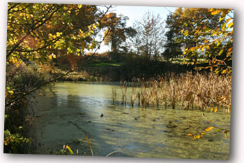 Farnham Park