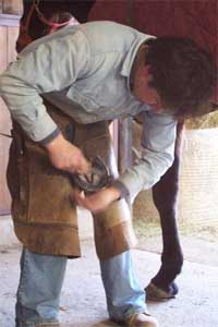 Farrier at work