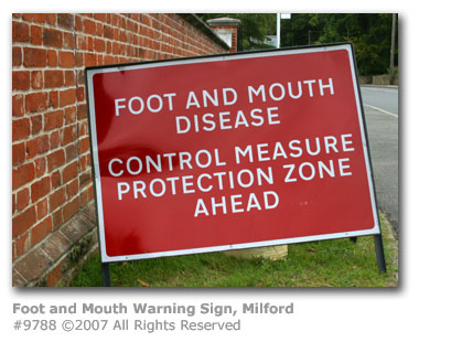 Foot and Mouth Warning Sign, Milford