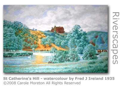 St Catherine's Hill by Fred Ireland