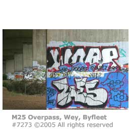 SS GRAFFITI ART 6