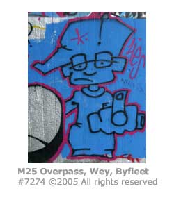 SS GRAFFITI ART 3