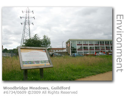 Woodbridge Meadows, Guildford