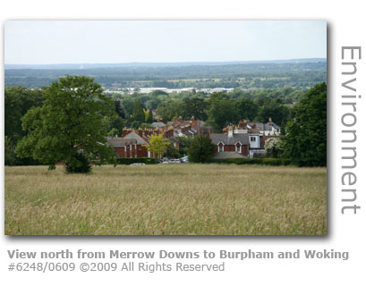 Merrow Downs at Guildford