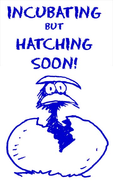 HATCHING SOON