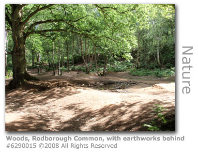 Earthworks at Rodborough Common, Milford