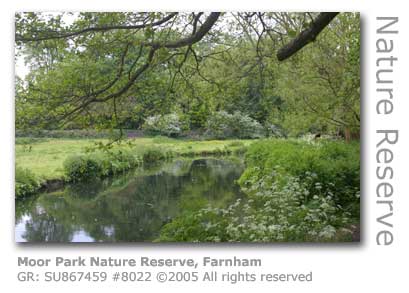 MOOR PARK NATURE RESERVE FARNHAM