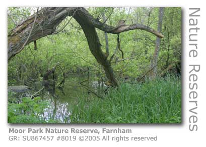 MOOR PARK NATURE RESERVE FARNHAM