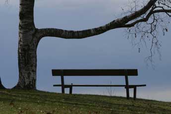 PARK BENCH