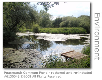 Peasmarsh Common Pond - reinstated