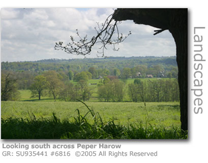 Peper Harow Estate