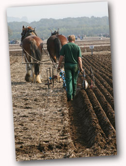 A straight furrow