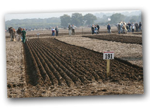 Ploughed field