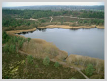 Frensham Little Pond by Paul Farmer