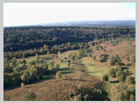 Hindhead Common by Paul Farmer