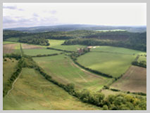 Pewley Down by Paul Farmer