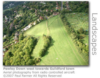 Pewley Down by Paul Farmer