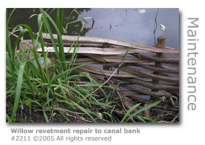 WILLOW REVETMENT