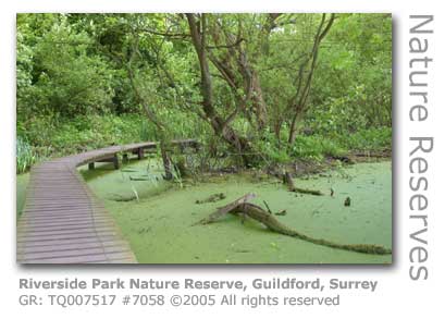 RIVERSIDE NATURE RESERVE GUILDFORD