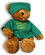 Royal Surrey Teddy