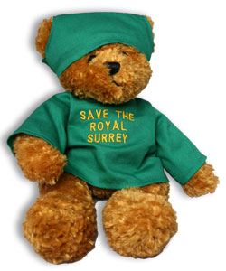 Royal Surrey Teddy