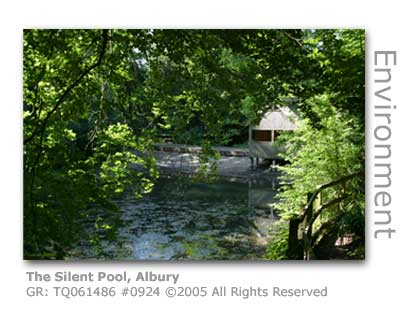 Silent Pool, Albury