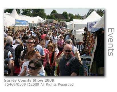 Surrey County Show 2009 visitors