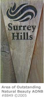 SURREY HILLS SIGN