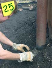 Protecting chimney vents