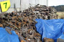 Wood stockpile